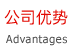 公司優勢
